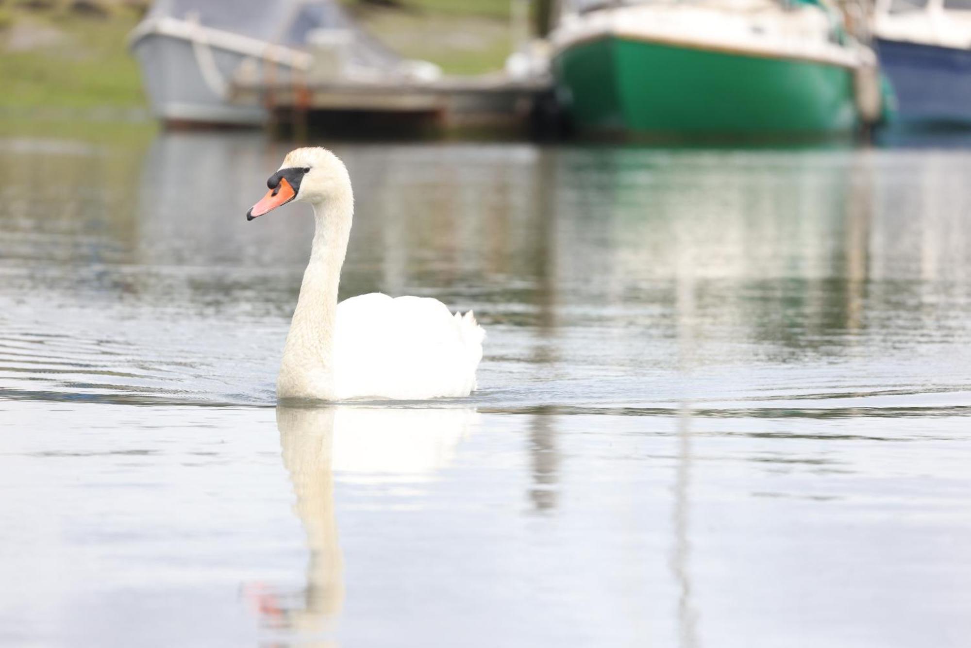 Mercury Yacht Harbour And Holiday Park Bursledon Zewnętrze zdjęcie